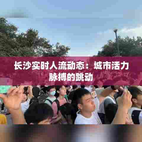 长沙实时人流动态：城市活力脉搏的跳动