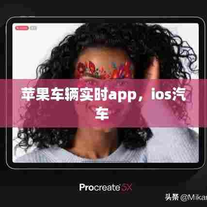 苹果车辆实时app，ios汽车 
