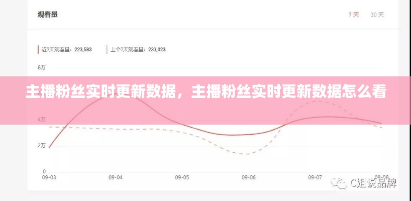 主播粉丝实时更新数据，主播粉丝实时更新数据怎么看 