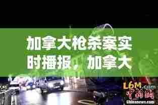 加拿大枪杀案实时播报，加拿大枪击案致十余人死亡 