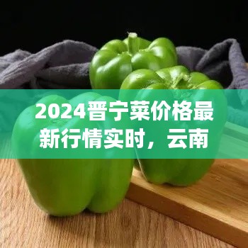 2024晋宁菜价格最新行情实时，云南晋宁蔬菜每日报价 