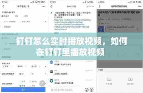 钉钉怎么实时播放视频，如何在钉钉里播放视频 