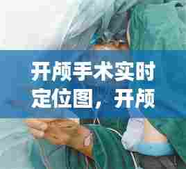 开颅手术实时定位图，开颅手术图谱 