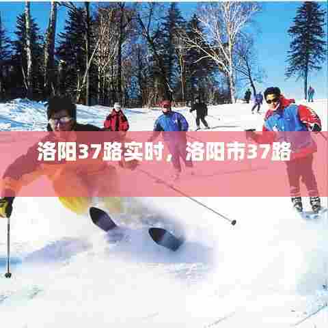 洛阳37路实时，洛阳市37路 