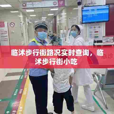 临沭步行街路况实时查询，临沭步行街小吃 