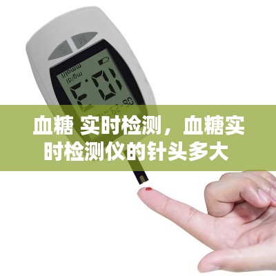 血糖 实时检测，血糖实时检测仪的针头多大 