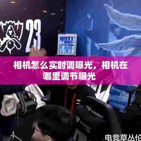 文化专栏 第447页