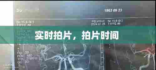 客户服务 第444页