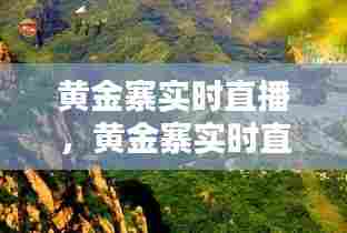 黄金寨实时直播，黄金寨实时直播在哪看 