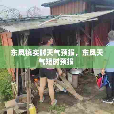 东凤镇实时天气预报，东凤天气短时预报 