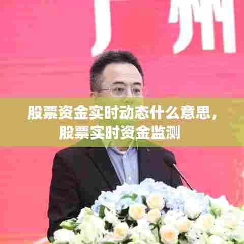 股票资金实时动态什么意思，股票实时资金监测 