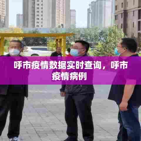 呼市疫情数据实时查询，呼市疫情病例 