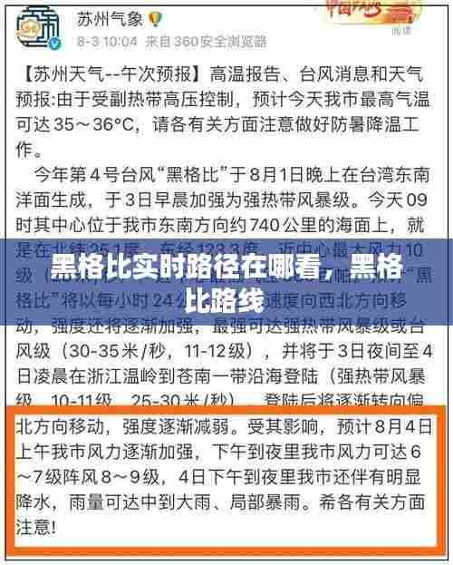 越鸟南栖 第8页