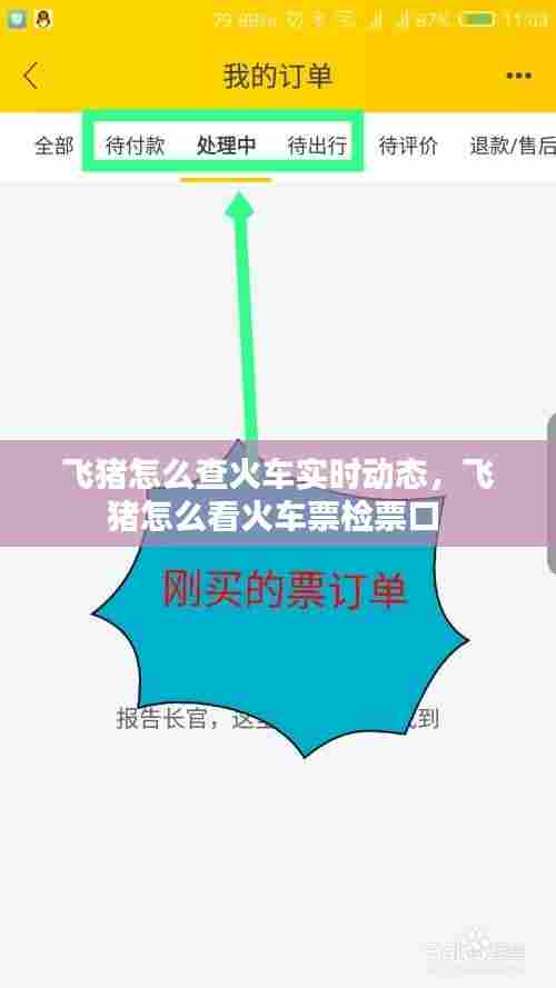 飞猪怎么查火车实时动态，飞猪怎么看火车票检票口 
