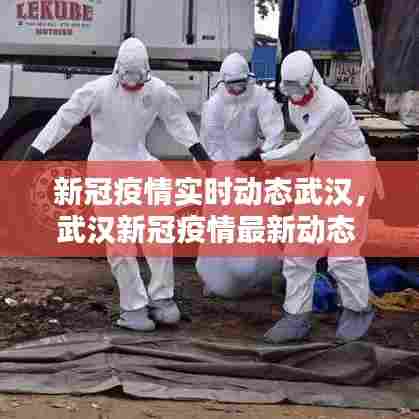新冠疫情实时动态武汉，武汉新冠疫情最新动态 