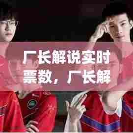 厂长解说实时票数，厂长解说rng 