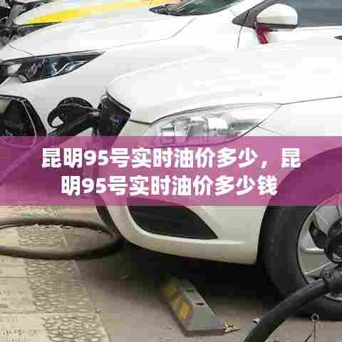 昆明95号实时油价多少，昆明95号实时油价多少钱 