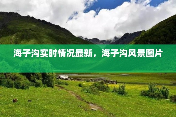 关于我们 第441页