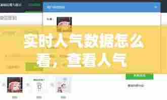 实时人气数据怎么看，查看人气 