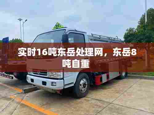 实时16吨东岳处理网，东岳8吨自重 