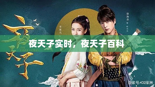 夜天子实时，夜天子百科 