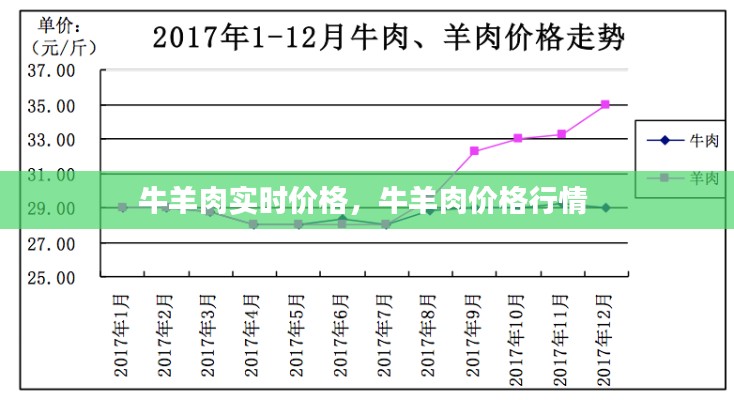 牛羊肉实时价格，牛羊肉价格行情 