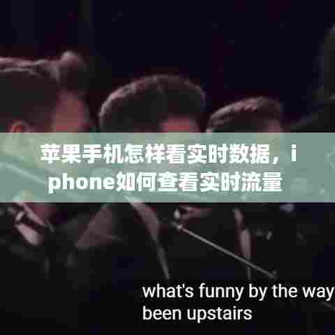 苹果手机怎样看实时数据，iphone如何查看实时流量 