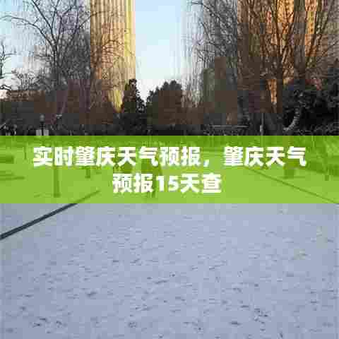 实时肇庆天气预报，肇庆天气预报15天查 