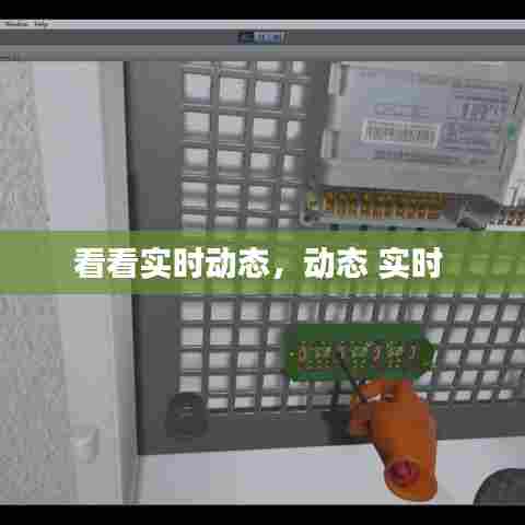 看看实时动态，动态 实时 