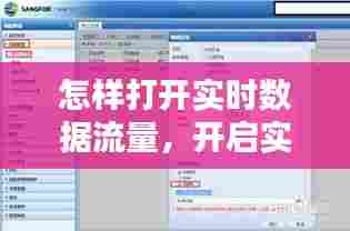怎样打开实时数据流量，开启实时数据 