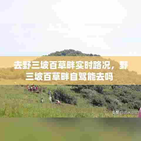 天生万物，唯人为贵 第8页