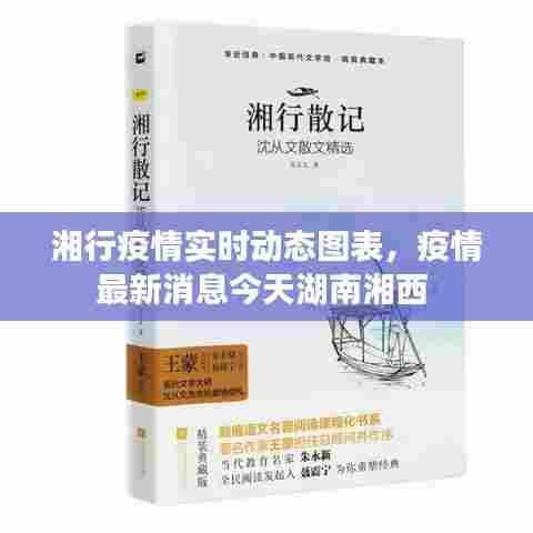 湘行疫情实时动态图表，疫情最新消息今天湖南湘西 