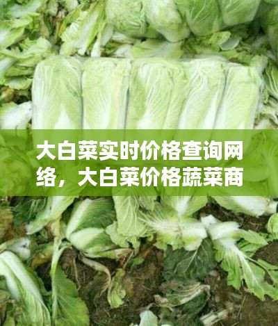 购物指南 第427页