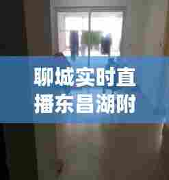 聊城实时直播东昌湖附近，聊城东昌湖附近小区 