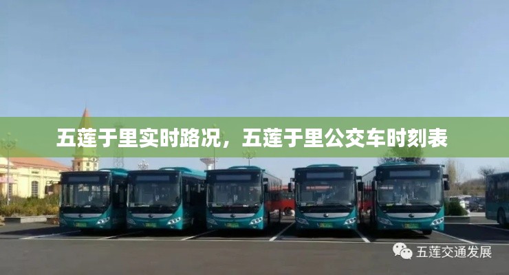 五莲于里实时路况，五莲于里公交车时刻表 