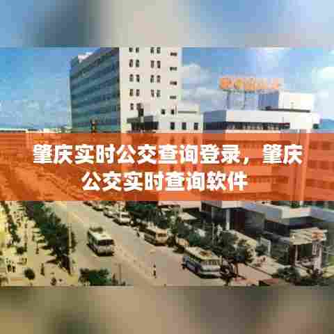 肇庆实时公交查询登录，肇庆公交实时查询软件 