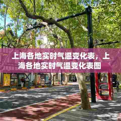 上海各地实时气温变化表，上海各地实时气温变化表图 