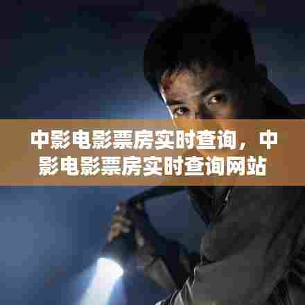 中影电影票房实时查询，中影电影票房实时查询网站 