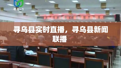 寻乌县实时直播，寻乌县新闻联播 