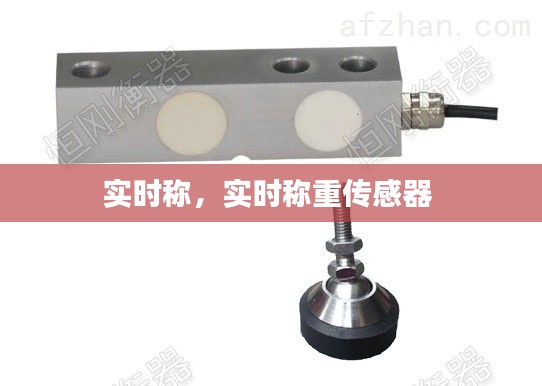 实时称，实时称重传感器 