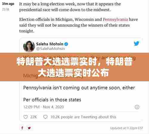 特朗普大选选票实时，特朗普大选选票实时公布 