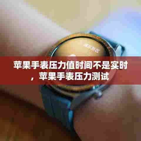 苹果手表压力值时间不是实时，苹果手表压力测试 
