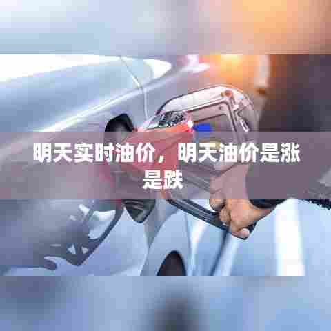 明天实时油价，明天油价是涨是跌 