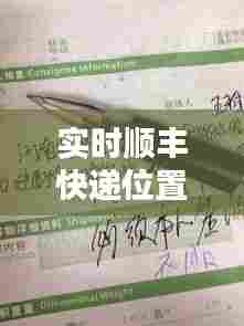 实时顺丰快递位置怎么查，实时顺丰快递位置怎么查不到 