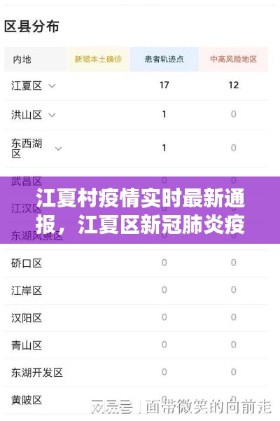 江夏村疫情实时最新通报，江夏区新冠肺炎疫情 