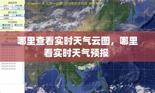 哪里查看实时天气云图，哪里看实时天气预报 