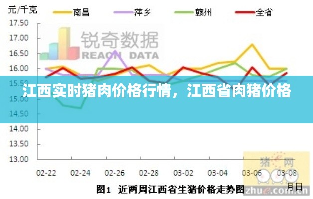 江西实时猪肉价格行情，江西省肉猪价格 