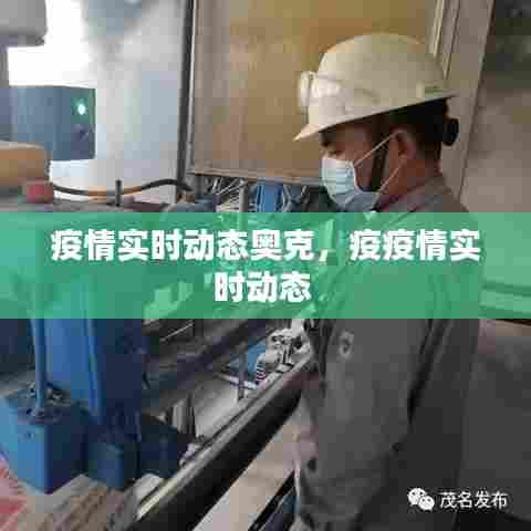 疫情实时动态奥克，疫疫情实时动态 