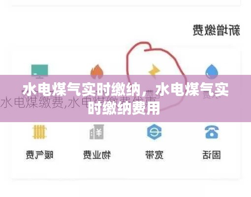 水电煤气实时缴纳，水电煤气实时缴纳费用 