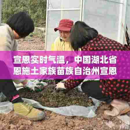 宣恩实时气温，中国湖北省恩施土家族苗族自治州宣恩县天气 